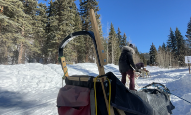 dog sledding in Gunnison County